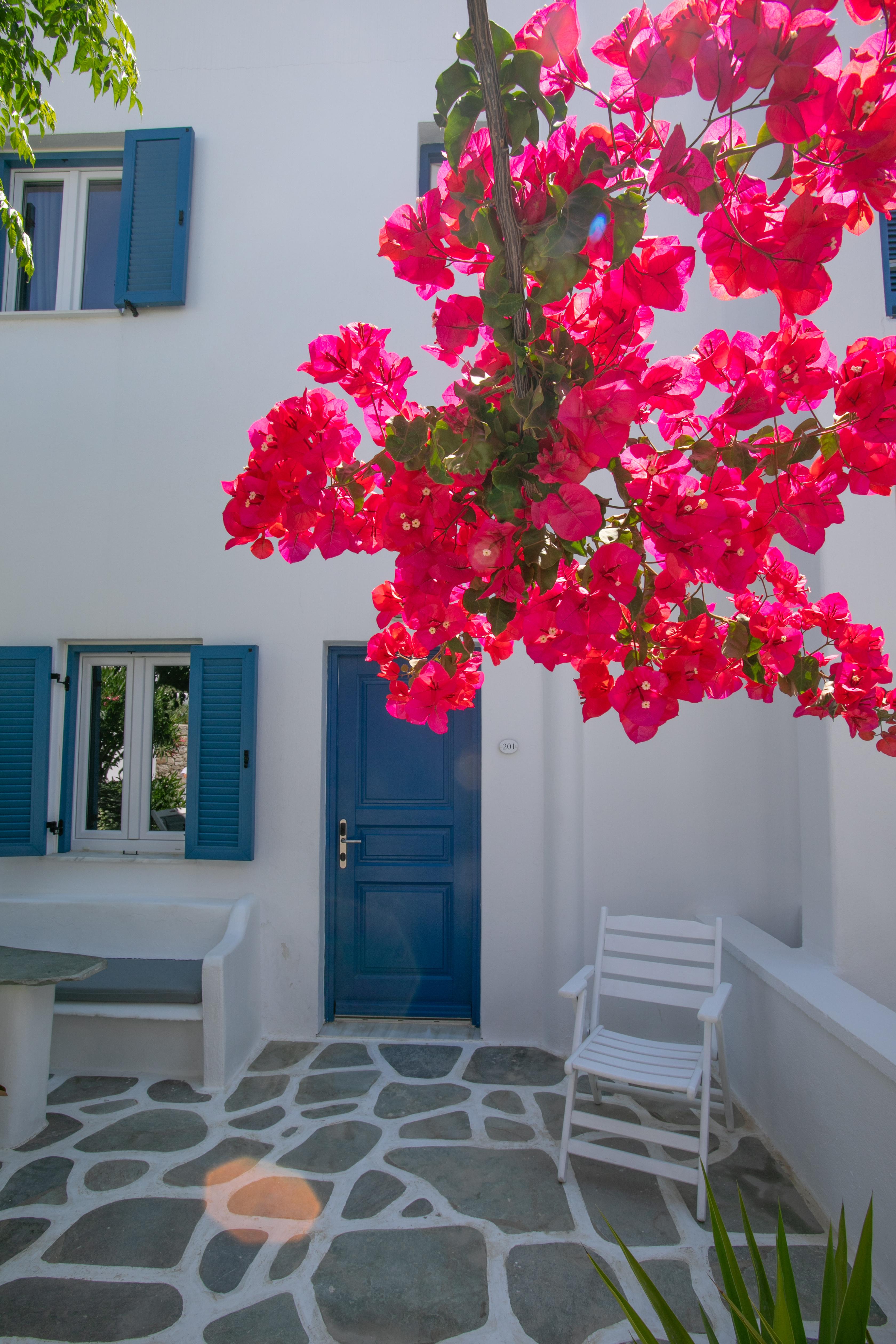 Acrogiali Beachfront Hotel Mykonos Platys Gialos  Exterior foto