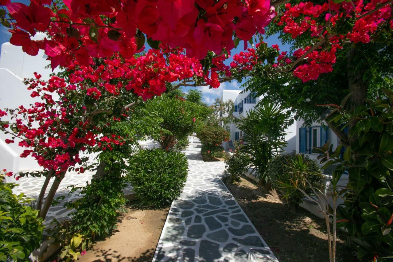 Acrogiali Beachfront Hotel Mykonos Platys Gialos  Exterior foto